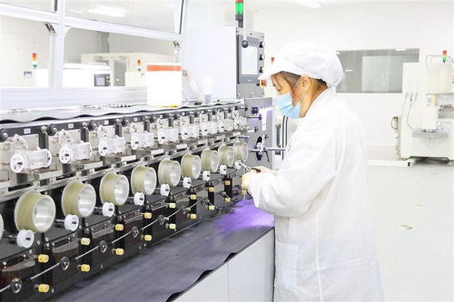 整合科創(chuàng)資源搶占新興賽道 遂寧新質(zhì)生產(chǎn)力蓄勢(shì)而行